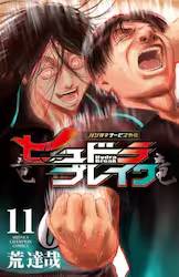 �n���K�l�T�[�r�X�O�`�q���h���u���C�N 11�� (11)