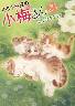 �L�W�g���L�̏��~���� 29�� (29)