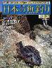 週刊　日本の魚釣り　全国版　０３９号　ボートクロダ